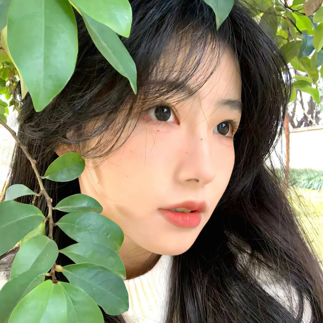 车站的马博布